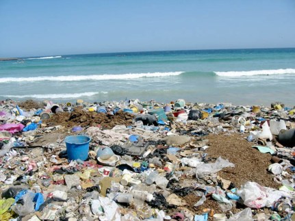 beach trash 1